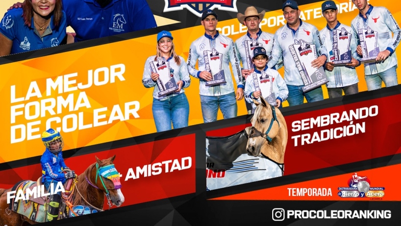 Gran final V Temporada