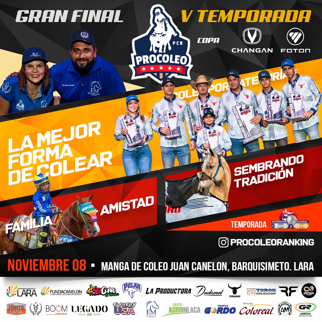 Gran final V Temporada