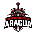 Indestructibles de aragua